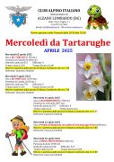 Mercoledì da tartarughe - Aprile
